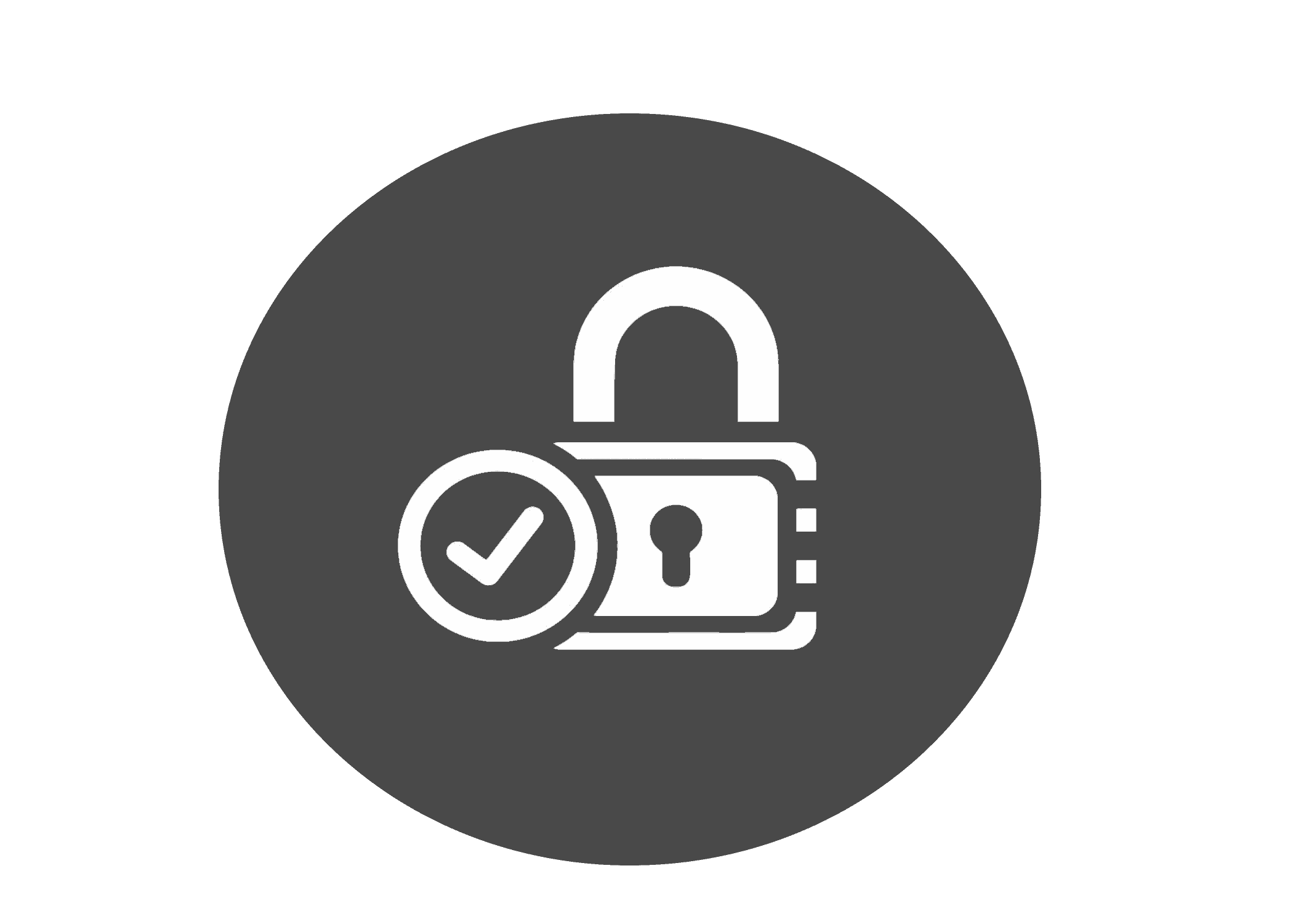 Secure PNG Logo